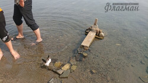 DSC_20220808111758_0245